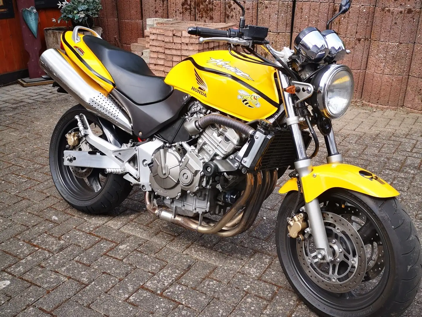 Honda CB 600 Hornet Żółty - 1