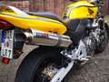 Honda CB 600 Hornet žuta - thumbnail 6