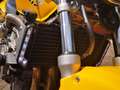 Honda CB 600 Hornet Żółty - thumbnail 5