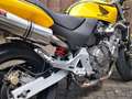 Honda CB 600 Hornet žuta - thumbnail 2