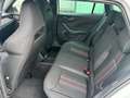 Skoda Kamiq Selection 1.5 TSI 150PS DSG/AUTOMATIC, 5J. Gara... - thumbnail 8