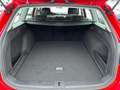 Volkswagen Passat Variant Business 2,0 TDI DSG Rot - thumbnail 15
