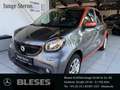 smart forFour 52 kW Passion+Cool&Audio+LED&Sensor+SHZ+Komfort BC Gris - thumbnail 1