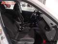 Skoda Kamiq 1.0 TSI 81KW DSG AMBITION 110 5P Blanco - thumbnail 20