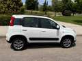 Fiat Panda Panda 1.3 Mjt Trekking Trekking Blanco - thumbnail 4