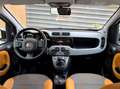 Fiat Panda Panda 1.3 Mjt Trekking Trekking Blanco - thumbnail 5