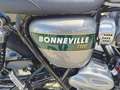 Triumph Bonneville T120 Goldline Edition Vert - thumbnail 7