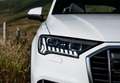Audi Q7 50 TDI Black line quattro Gris - thumbnail 25