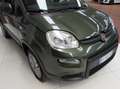 Fiat Panda 1.3 mjt 95cv 16v 4x4 Km. 47.150 Verde - thumbnail 13