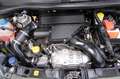 Fiat Panda 1.3 mjt 95cv 16v 4x4 Km. 47.150 Verde - thumbnail 14