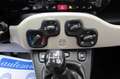 Fiat Panda 1.3 mjt 95cv 16v 4x4 Km. 47.150 Verde - thumbnail 8