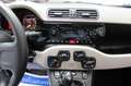 Fiat Panda 1.3 mjt 95cv 16v 4x4 Km. 47.150 Verde - thumbnail 6