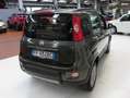 Fiat Panda 1.3 mjt 95cv 16v 4x4 Km. 47.150 Verde - thumbnail 3