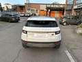 Land Rover Range Rover Evoque Pure Business Edition TD4 Blanc - thumbnail 4