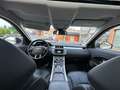 Land Rover Range Rover Evoque Pure Business Edition TD4 Білий - thumbnail 14