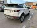 Land Rover Range Rover Evoque Pure Business Edition TD4 Weiß - thumbnail 5