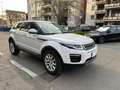 Land Rover Range Rover Evoque Pure Business Edition TD4 Biały - thumbnail 7