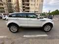 Land Rover Range Rover Evoque Pure Business Edition TD4 Biały - thumbnail 6