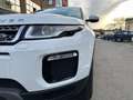 Land Rover Range Rover Evoque Pure Business Edition TD4 Biały - thumbnail 9