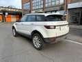 Land Rover Range Rover Evoque Pure Business Edition TD4 Biały - thumbnail 3