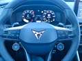 CUPRA Formentor VZ 2.0 TSI/333 PS Allrad Pano AHK/-24% Grau - thumbnail 16