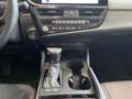 Lexus ES 300 300h Premium Negro - thumbnail 17
