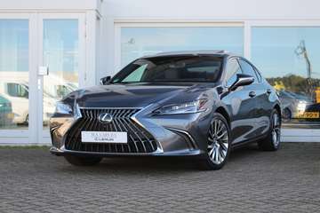 300h President Line I Facelift I Open dak I 360-ca
