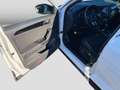 Volkswagen T-Roc 1.5 TSI Sport ACC Climatr Navi Cam Blind-S Weiß - thumbnail 14