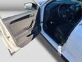 Volkswagen T-Roc 1.5 TSI Sport ACC Climatr Navi Cam Blind-S Weiß - thumbnail 14