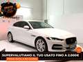 Jaguar XE (X760) - XE 2.0 D 180 CV aut. S Blanc - thumbnail 6
