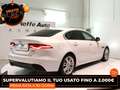 Jaguar XE (X760) - XE 2.0 D 180 CV aut. S Bianco - thumbnail 4