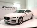 Jaguar XE (X760) - XE 2.0 D 180 CV aut. S Blanc - thumbnail 1