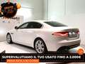 Jaguar XE (X760) - XE 2.0 D 180 CV aut. S Bianco - thumbnail 3