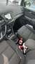 SEAT Alhambra 2.0 TDI Ecomotive XCELLENCE - thumbnail 11