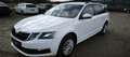 Skoda Octavia Combi 1,6 TDI Ambition Limited*SERVICE/PICKERL NEU Weiß - thumbnail 1