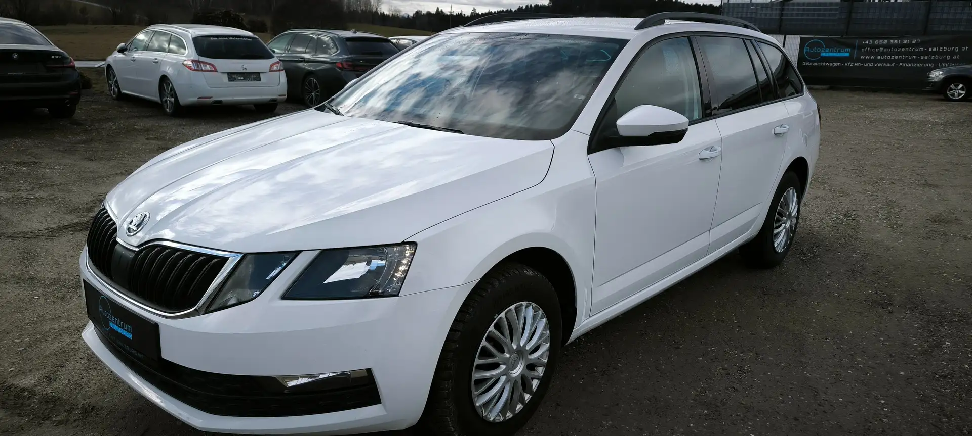 Skoda Octavia Combi 1,6 TDI Ambition Limited*SERVICE/PICKERL NEU Weiß - 1