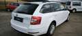 Skoda Octavia Combi 1,6 TDI Ambition Limited*SERVICE/PICKERL NEU Weiß - thumbnail 5