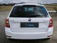 Skoda Octavia Combi 1,6 TDI Ambition Limited*SERVICE/PICKERL NEU Weiß - thumbnail 4