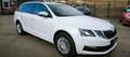 Skoda Octavia Combi 1,6 TDI Ambition Limited*SERVICE/PICKERL NEU Weiß - thumbnail 7