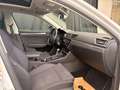 Skoda Superb Style 1 BESITZ Weiß - thumbnail 20