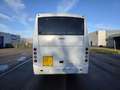 Mercedes-Benz Atego Apollo (Stock ID 42138) Blanco - thumbnail 5
