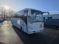 Mercedes-Benz Atego Apollo (Stock ID 42138) Blanco - thumbnail 3