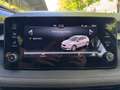 Skoda Fabia 1.0 TSI Selection LED+SHZ+LM+PDC+ParkAss Blau - thumbnail 23