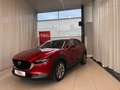 Mazda CX-30 G122 Comfort+/SO/ST Rot - thumbnail 1