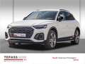 Audi Q5 50 TDI QUATTRO S LINE EDITION MATRIX LED NAVI LEDE Wit - thumbnail 1