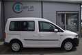 Volkswagen Caddy Kombi 2,0 TDI 2x S-TÜR/NAVI / NETTO: 13.316 €  Weiß - thumbnail 9