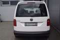 Volkswagen Caddy Kombi 2,0 TDI 2x S-TÜR/NAVI / NETTO: 13.316 €  Weiß - thumbnail 5
