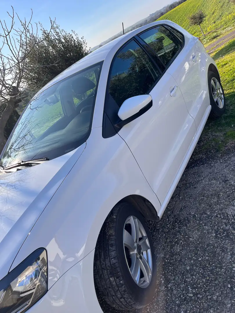 Volkswagen Polo Polo 5p 1.4 tdi bm Comfortline 90cv Bianco - 1