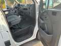 Opel Movano 2.3 gasolio 145cv CASSONATO 3 POSTI Wit - thumbnail 11