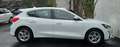Ford Focus Cool Weiß - thumbnail 4